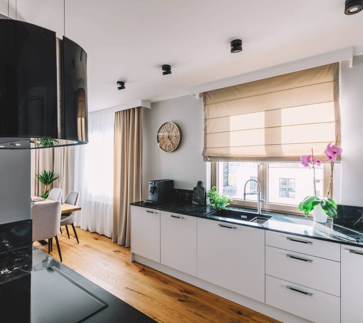 modern-kitchen-interior-design-2022-12-16-11-05-55-utc.jpg